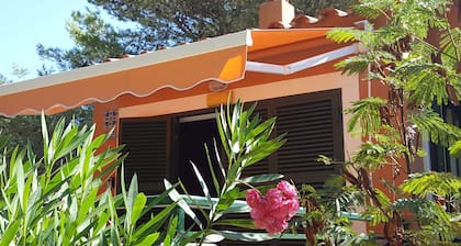 Apartamento de playa con vistas