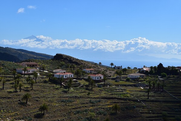 Un pueblo rural con casas, palmeras y una montaña al fondo.