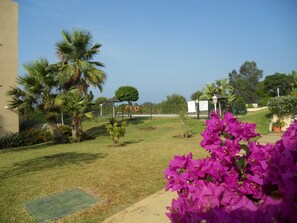 Un giardino curato con palme, fiori di bouganvillea e cielo sereno.