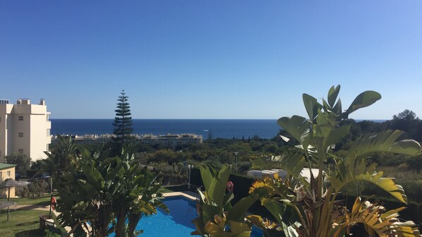 A pool with a view of the sea, surrounded by greenery and a building.