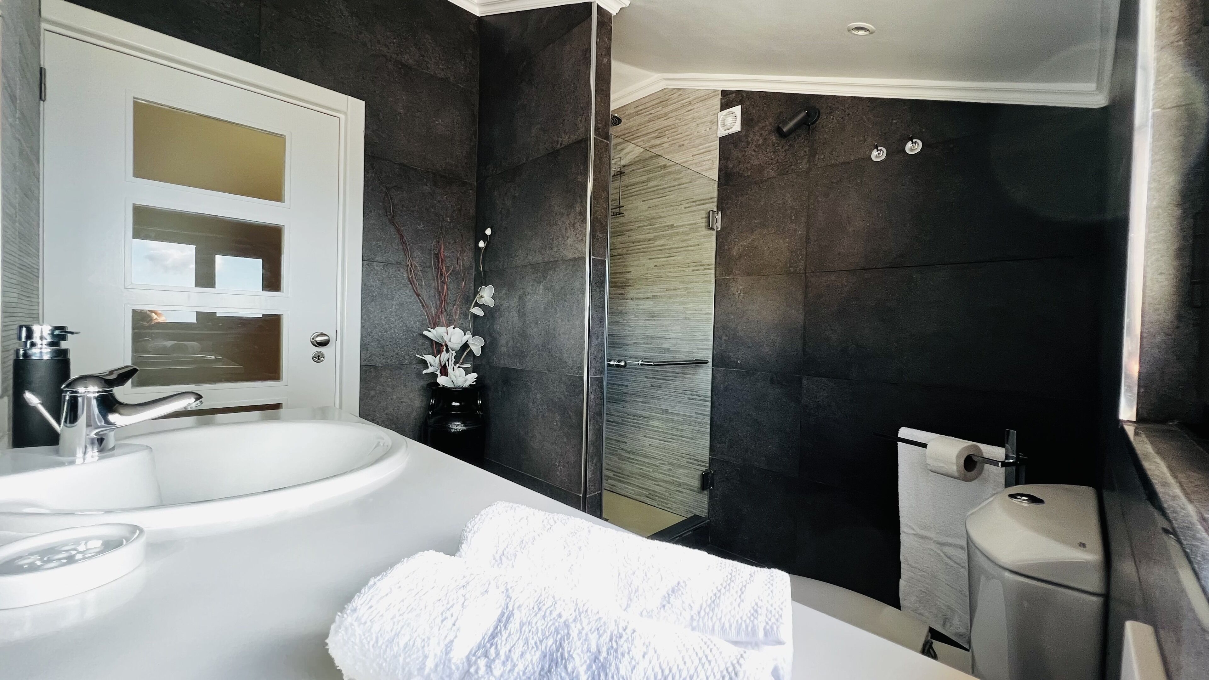Shower, hair dryer, towels, toilet paper