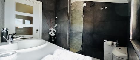 Shower, hair dryer, towels, toilet paper