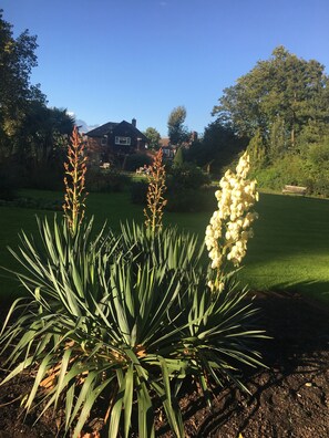 Un jardín con diversas plantas, césped y una casa al fondo.