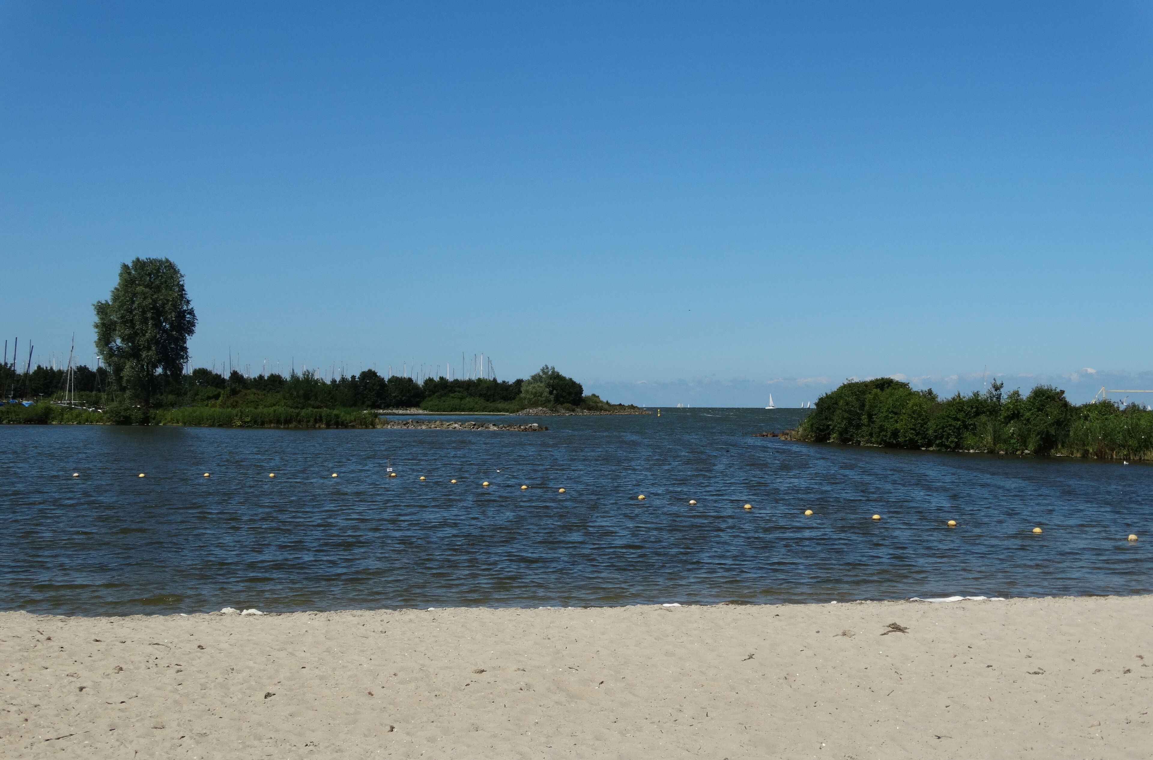 A river with buoys, a sandy beach, and dense greenery.