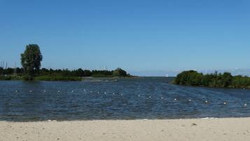 A river with buoys, a sandy beach, and dense greenery.
