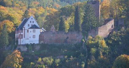 Panorama view Miltenberg, 3 pers., central, on the Main, terrace, boat rental, P