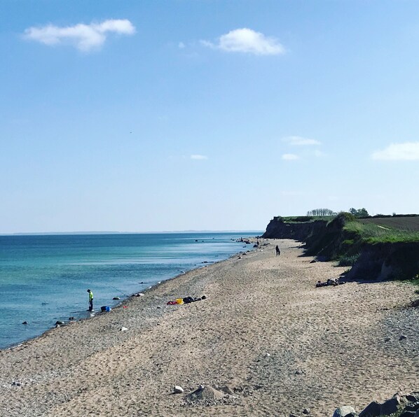在海灘附近、躺椅