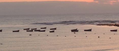 Una playa cerca