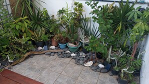 A variety of potted plants arranged on a tiled patio area. - Manava Tahara'a home stay (Mahina)
