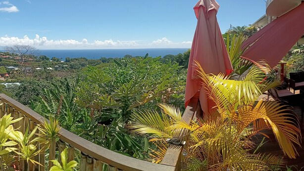A balcony with a view of a lush garden and the ocean. - Manava Tahara'a home stay (Mahina)