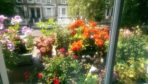 Un jardin avec différentes sortes de fleurs et un bâtiment en arrière-plan.