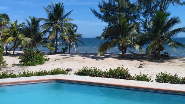 A poolside view with a clear blue sky, palm trees, and a sandy beach. -  Beachfront Private Pool Home  -  A "Gold Standard Facility" (Placencia)