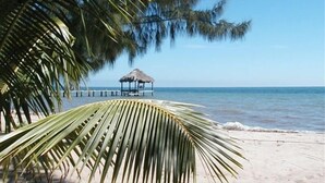 A beach with a thatched hut and palm trees. -  Beachfront Private Pool Home  -  A "Gold Standard Facility" (Placencia)