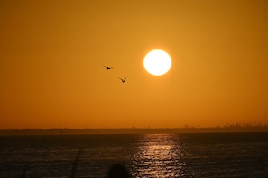 A sunset over a body of water with silhouettes of trees and birds.
