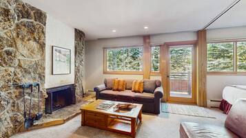 TV, fireplace, books