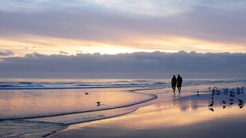 Cena de praia com duas pessoas caminhando pela costa, aves na areia e ondas se aproximando.