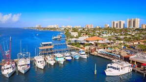 Un puerto deportivo con varias embarcaciones amarradas, un muelle y un paisaje urbano costero con edificios y palmeras.