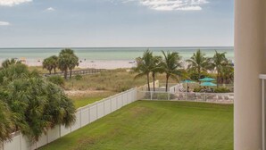 Une vue d’une plage avec une clôture blanche, des palmiers et une zone herbeuse.