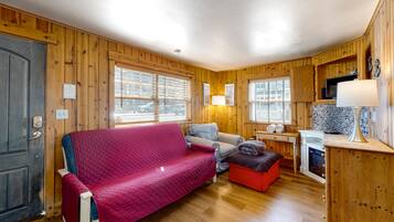 TV, fireplace, DVD player