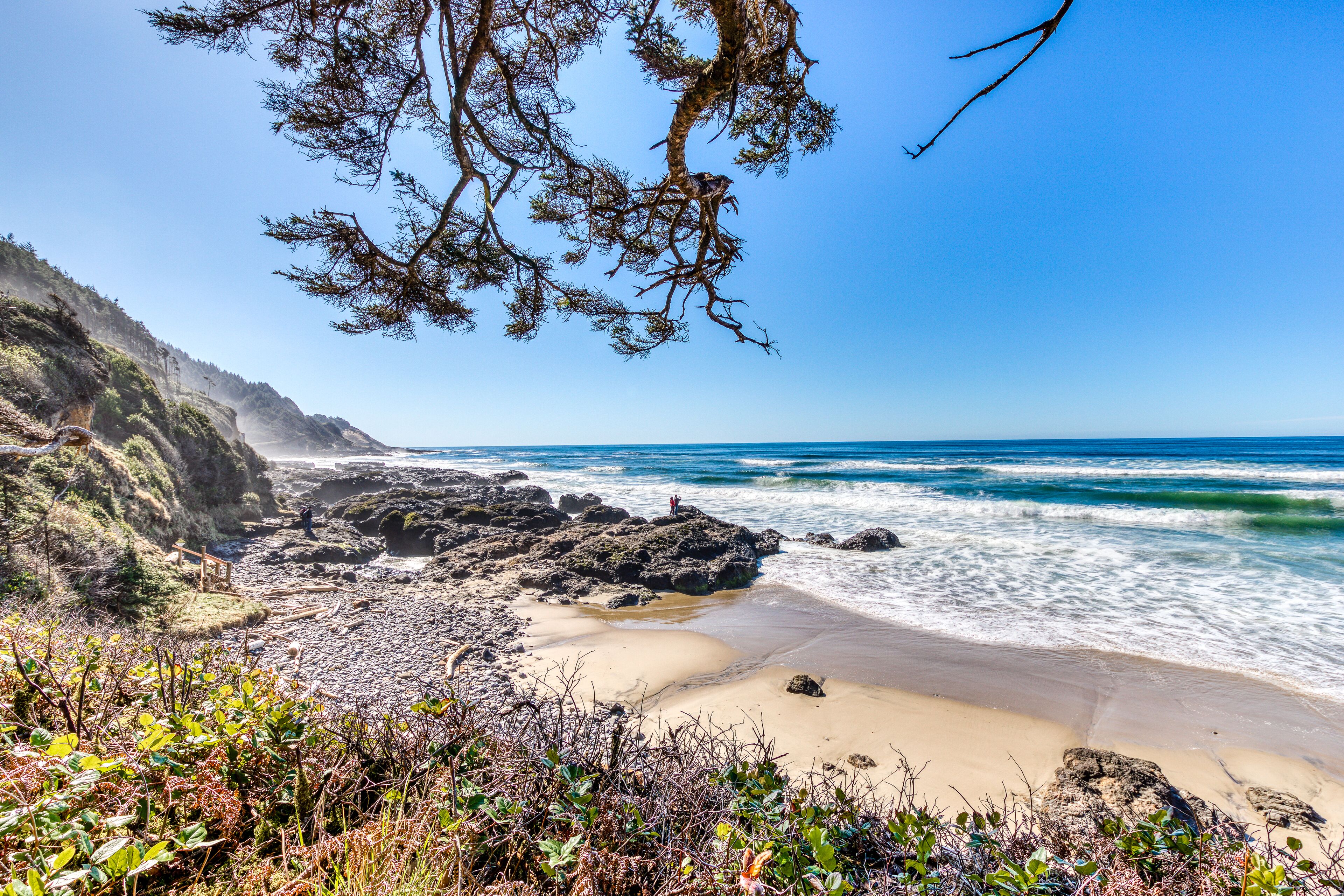 Dog-Friendly Waterfront Cottage with Pacific Views and Comfy Features