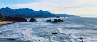 Peaceful Dog-Friendly Cottage with Fireplace, WiFi - Close to Beach & Town