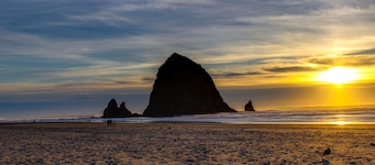 Serene Dog-Friendly Cottage - Blocks to Beach & Downtown