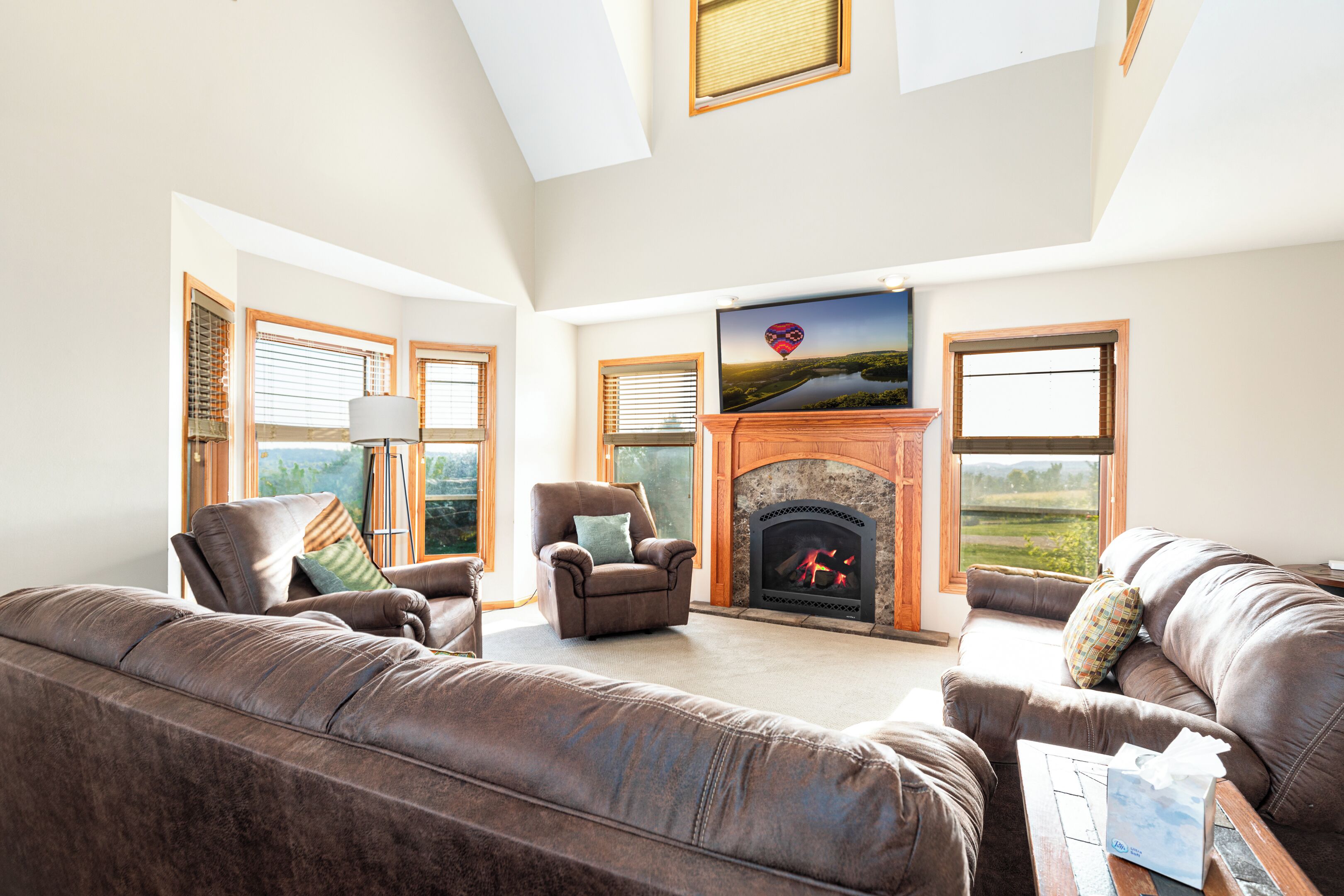 Télévision à écran plat, cheminée, jeux vidéo, lecteur de DVD