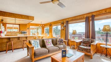 电视、DVD 播放器、书、立体声音响