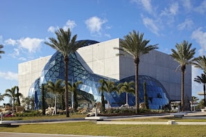 A modern building with a unique glass facade and palm trees in the foreground.