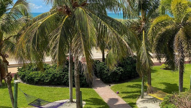 A pathway leading through a tropical garden with palm trees and a hammock. - Modern 2Br/2Ba Beachfront Condo with an Incredible View. Amenities, Pool, Beautiful Beach (Treasure Island)