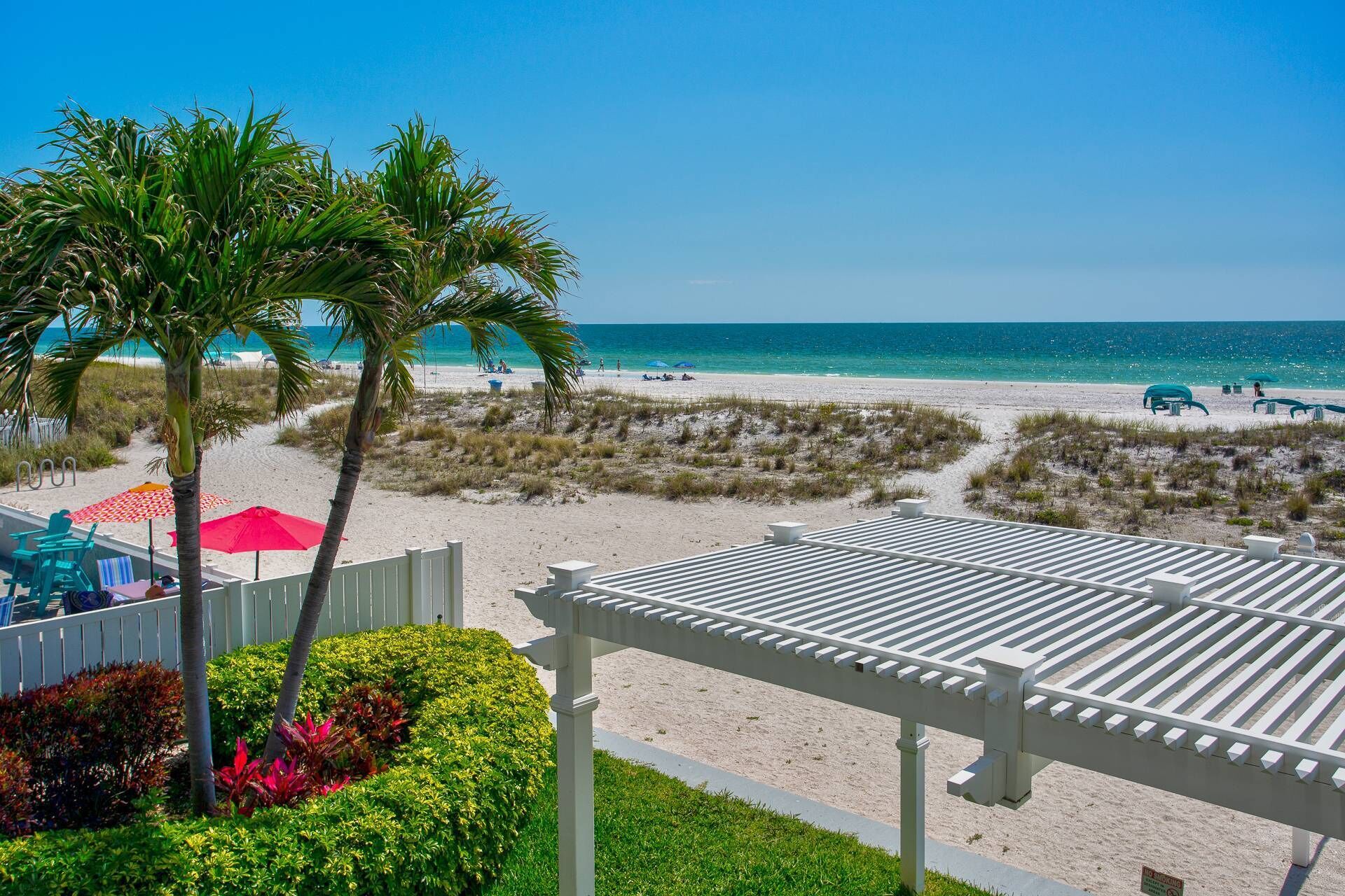 Vista de playa con una pérgola blanca, palmeras y sillas de playa.