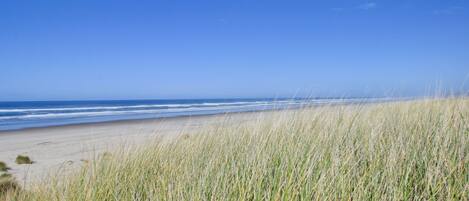 Accommodatie ligt op het strand
