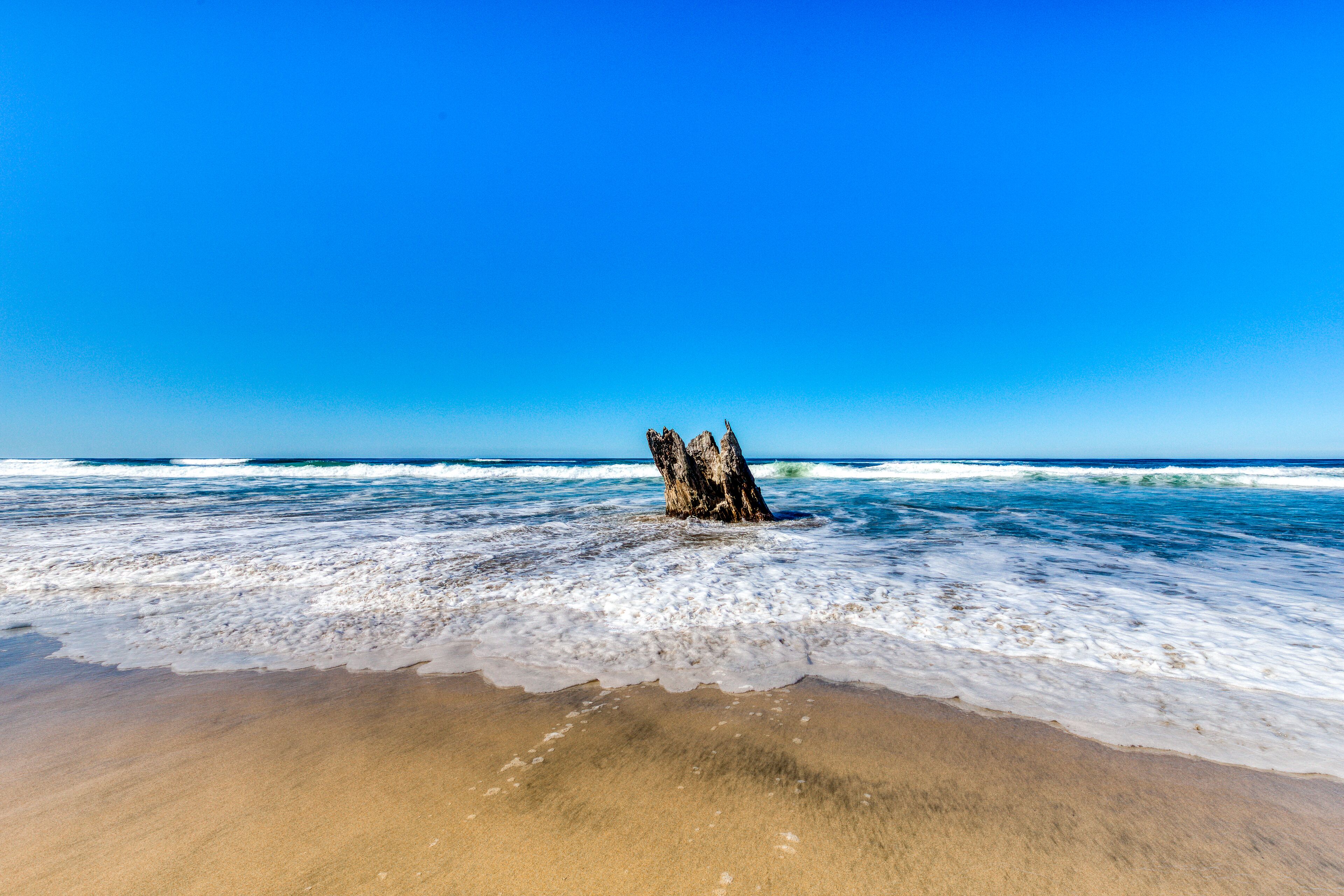 Quiet Oceanfront Getaway with Ocean Views, Walk to Beach - Dogs Welcome