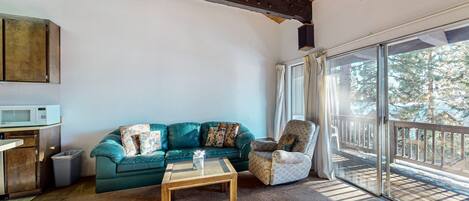 Televisión, chimenea, reproductor de DVD y libros