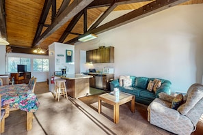 TV, fireplace, DVD player, books