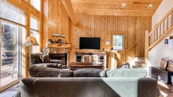 Télévision, cheminée, lecteur de DVD, livres