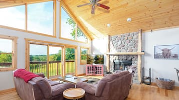 Télévision à écran plat, cheminée, jeux vidéo, lecteur de DVD