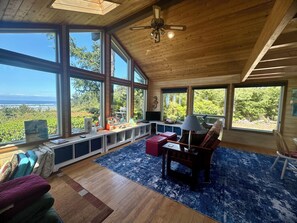 Chimenea y reproductor de DVD 