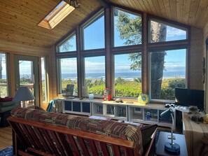 Cheminée, lecteur de DVD