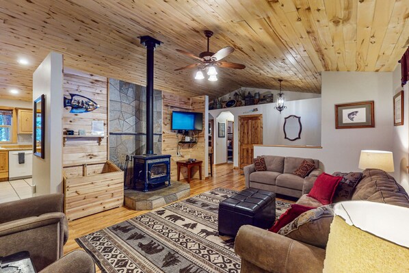 TV, fireplace, DVD player, books