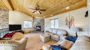 Een televisie, een open haard, een dvd-speler en boeken