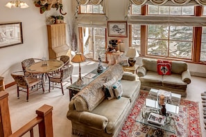 TV, fireplace, DVD player, books