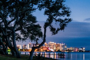 Unclassified image, 3 of 25, button