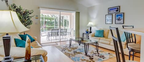 电视、DVD 播放器