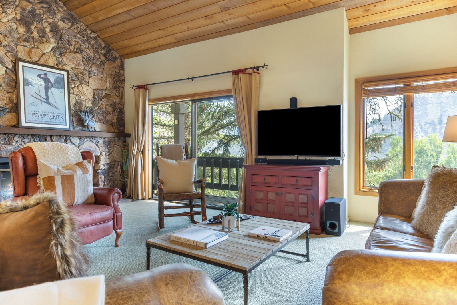 Téléviseur, foyer, lecteur de DVD, livres