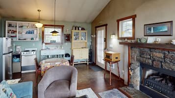 TV, fireplace, DVD player, books