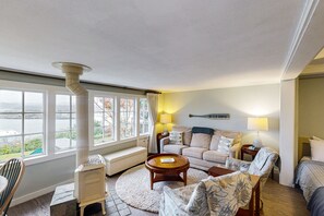 TV, fireplace, DVD player, books