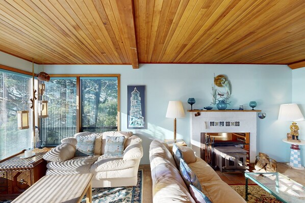 TV, fireplace, DVD player, books