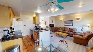 TV, fireplace - Kokopelli Dream - 3251 (Moab)