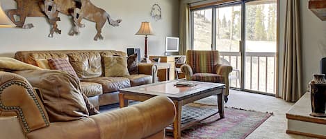 TV, fireplace, DVD player, stereo